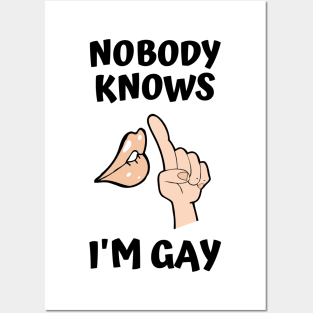 Nobody Knows I'm Gay Posters and Art